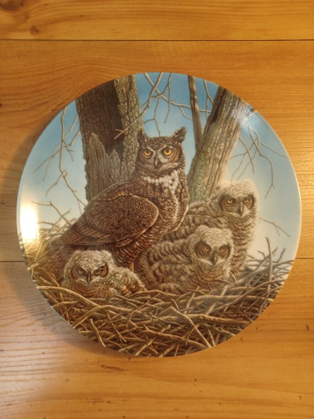 Vintage The Great Horned Owl Collectors Plate
